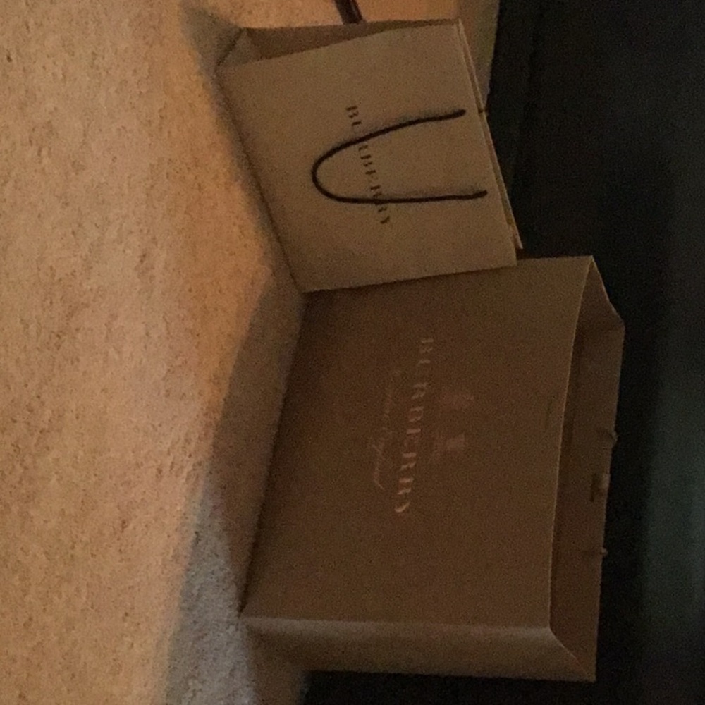 New Burberry shopping bags